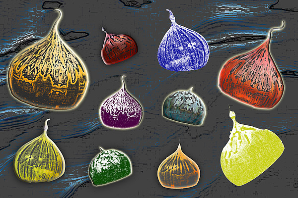 Floating Onions by Rodger Mansfield Floating Onions by Rodger Mansfield